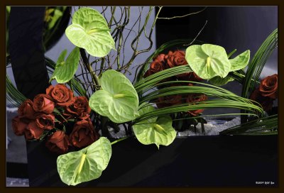 Arrangement 02.jpg