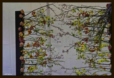 Arrangement 04.jpg
