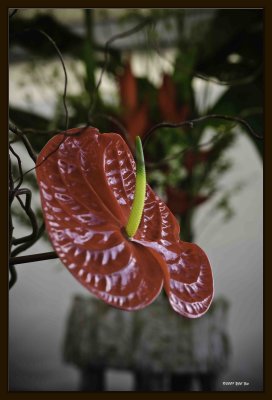 Arrangement 05.jpg