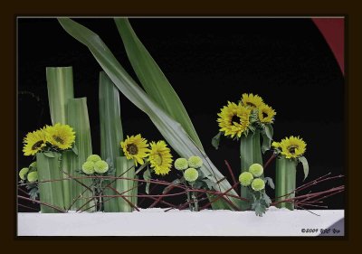 Arrangement 10.jpg