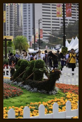 M Dragon Boat 01.jpg