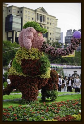 M Elephant 01.jpg