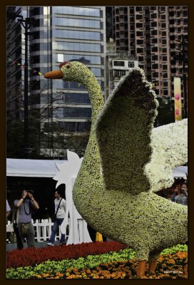 M Goose 01.jpg