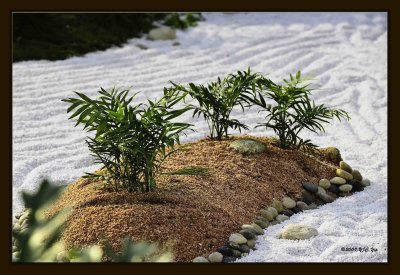 Plant 03.jpg