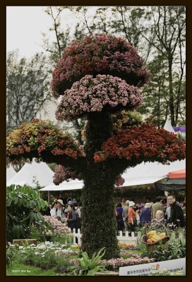 Plant 05.jpg