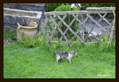 34 Lost in Garden.jpg