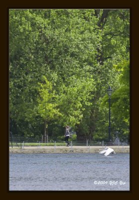34 Swan Landing.jpg