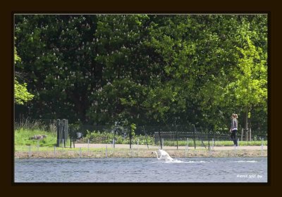 35 Swan Landing.jpg