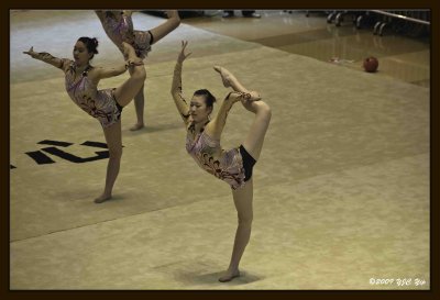 06 Gymnastic Performance.jpg