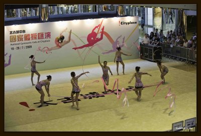 13 Gymnastic Performance.jpg