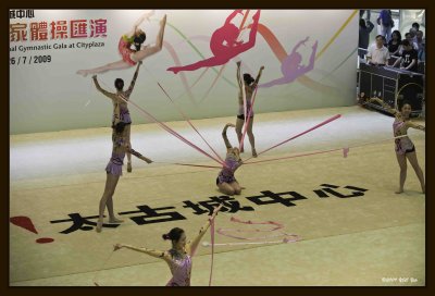 14 Gymnastic Performance.jpg