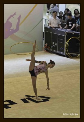 16 Gymnastic Performance.jpg