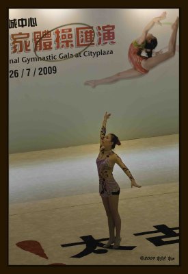 18 Gymnastic Performance.jpg