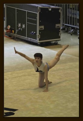 21 Gymnastic Performance.jpg
