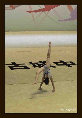 24 Gymnastic Performance.jpg