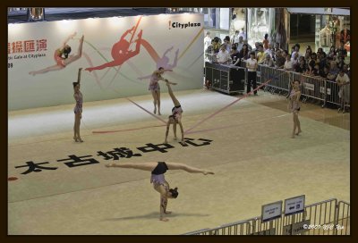 29 Gymnastic Performance.jpg