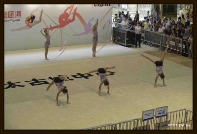 31 Gymnastic Performance.jpg