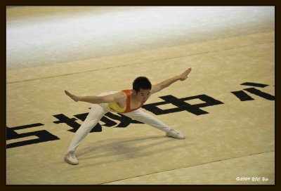 37 Gymnastic Performance.jpg