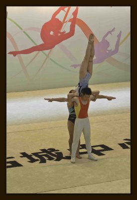 41 Gymnastic Performance.jpg