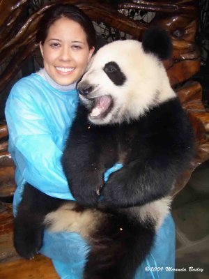 20 Chengdu 0918 Panda Breeding  Research Centre.jpg