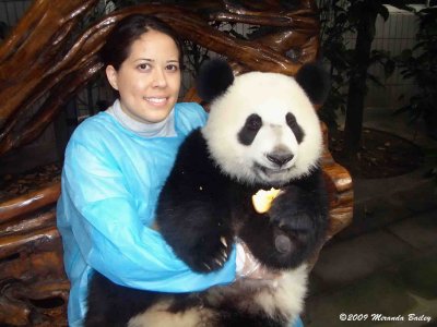 21 Chengdu 0918 Panda Breeding  Research Centre.jpg