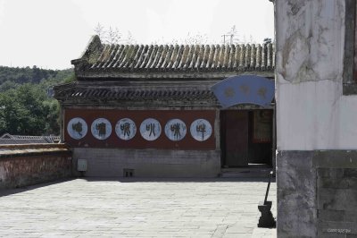 0911 Chengde 23 Puning Temple.jpg