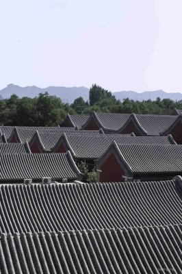 0911 Chengde 31 Puning Temple.jpg