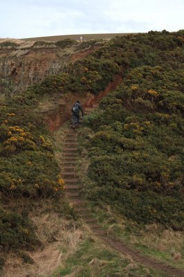 Along the Cleveland Way between Staithes and Runswick Bay