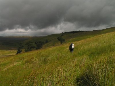 g1/35/663235/3/115826644.OVAHyvh9.jpg