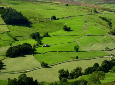 Upper Nidderdale