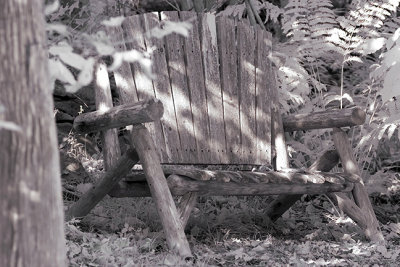 Autumn Bench