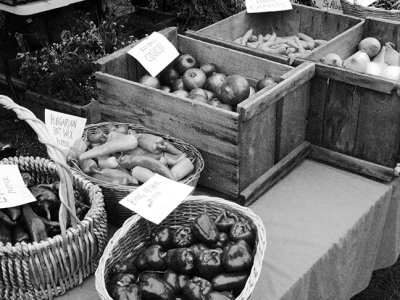 Vegetables for Sale, Common Ground Country Fair
