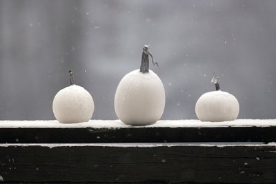 First Snow