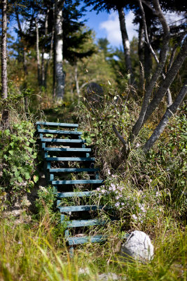 Steps Leading to Nature Trail from Beach