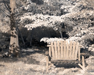 IR Bench and Tree False Color