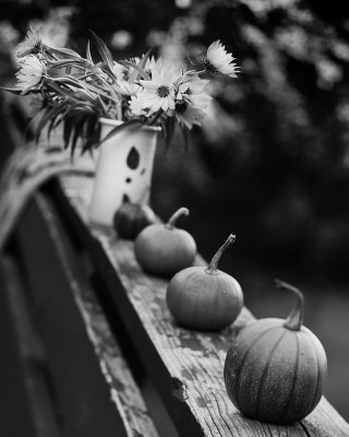 Still Life on Railing with Small Pumpkins, Vase of Little Sunflowers, and Door Mat
