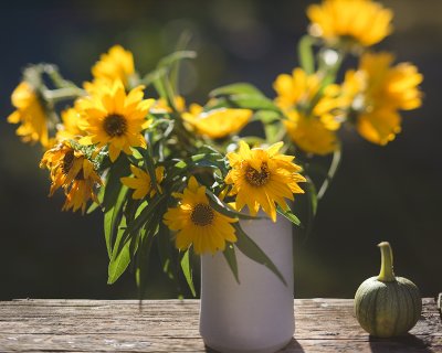 Backlit Liitle Sunflowers in Vase on Railing with Tiny Pumpkin