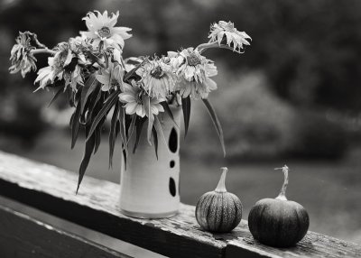 Vase of Little Sunflowers on Rail with Two Tiny Pumpkins
