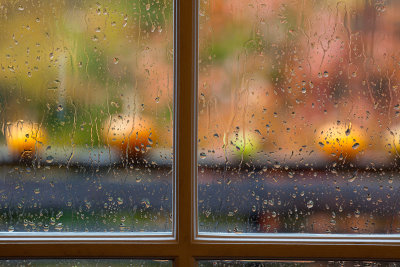 Rainy Autumn Pumpkins #2, Variation 2