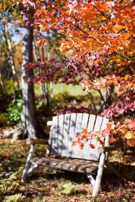 Autumn Bench