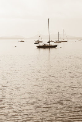 Fog and Boats, Union River Bay #3
