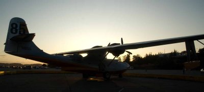 DSC_3281.jpg