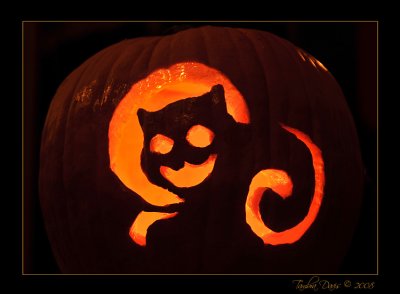Cat-O-Lantern