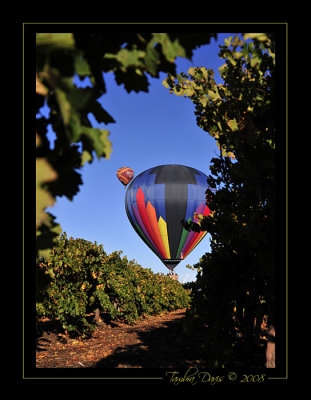 Hot Air Balloons