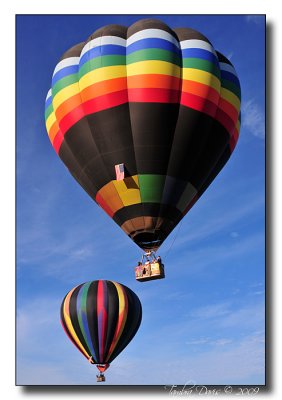 Hot Air Balloons 2009
