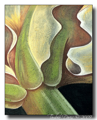 'Buttermilk Lily' by Rebecca Hayes-Johnson