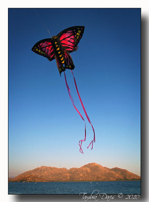 Go Fly a Kite