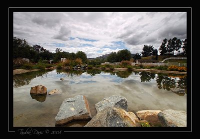 Pond at Rose Haven