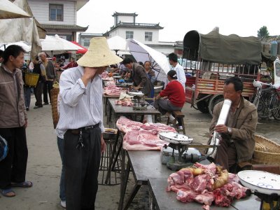 IMG_1051_resize.JPG