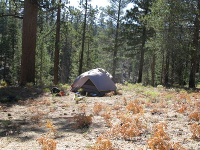 The tent with the split flysheet